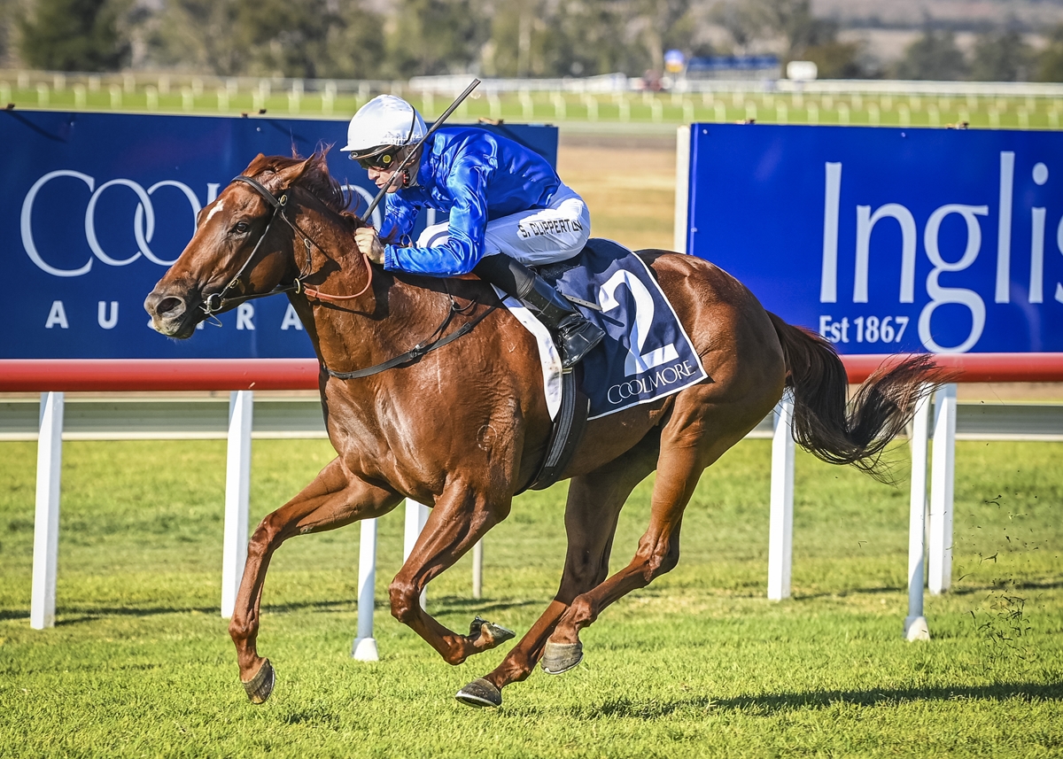 Ribchester to return to Haunui Farm in 2023